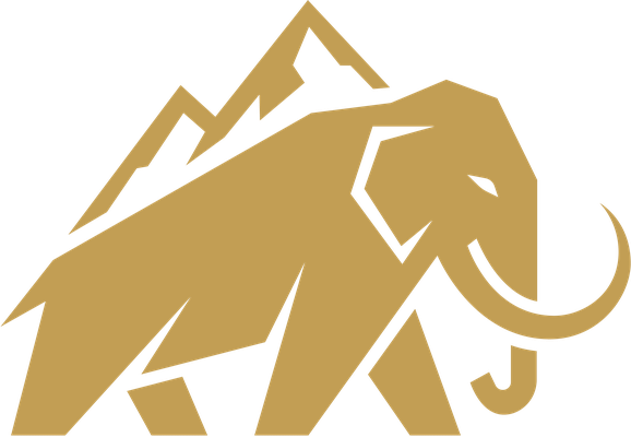 Mammoth Construction